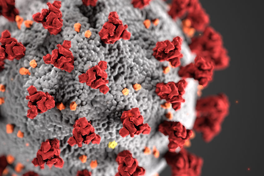 coronavirus-3d-rendering.jpg